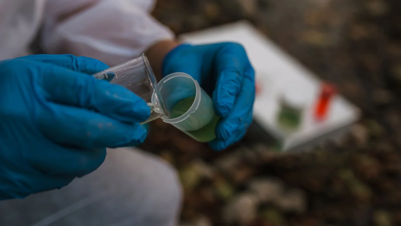 analyse de pollution dans le cadre d'un audit environnemental
