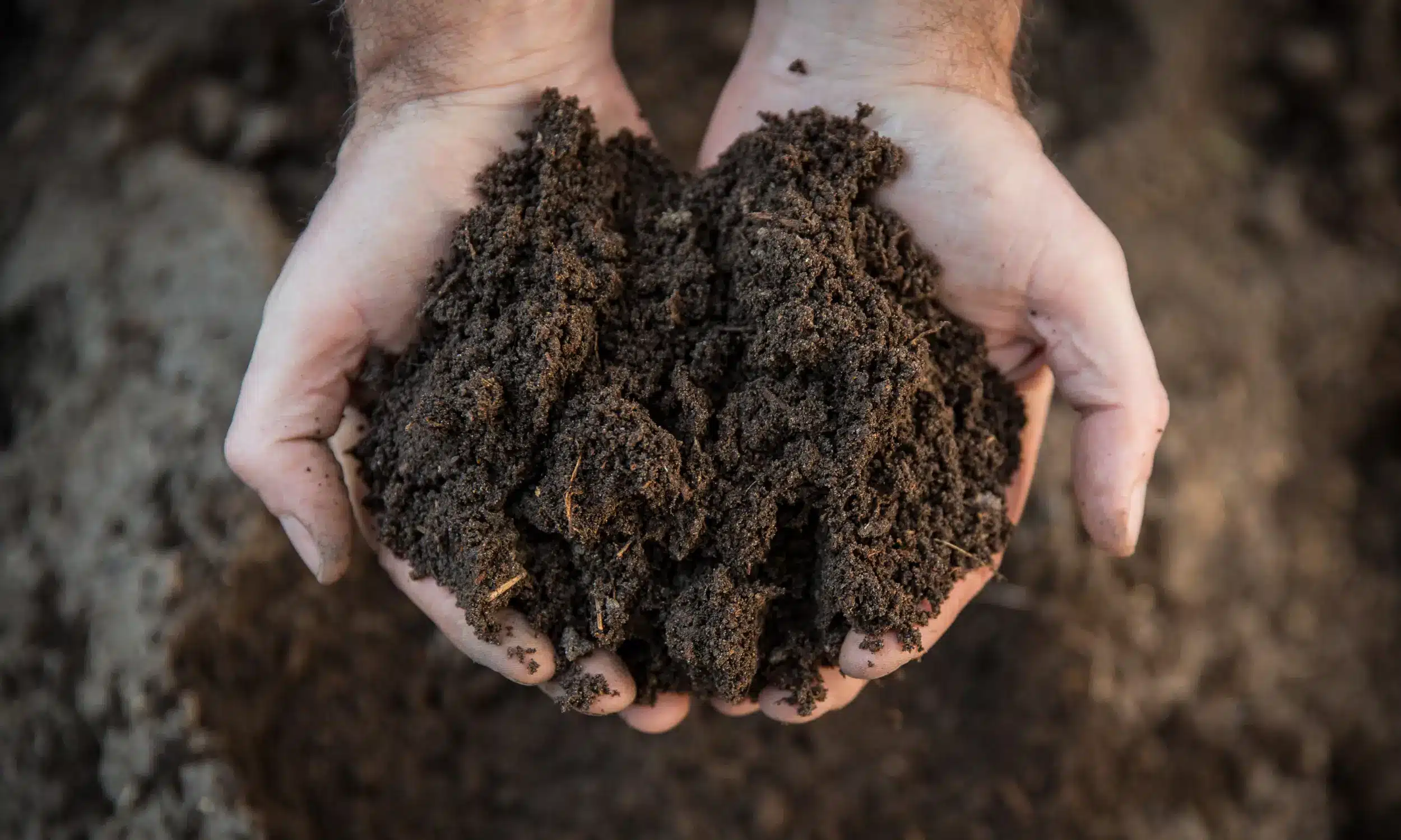 personne qui tient dans ses mains de la terre agricole pour montrer sa composition